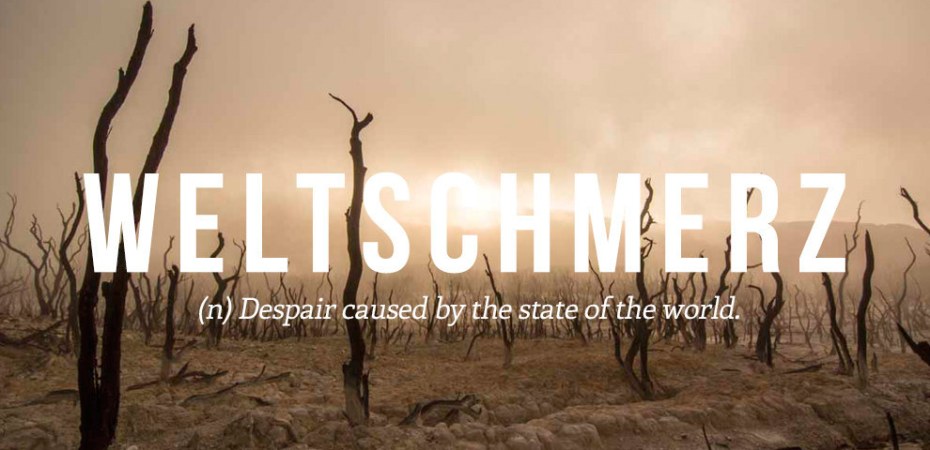 Weltschmerz: Despair caused by the state of the world.